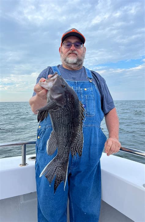 fishing report lewes de